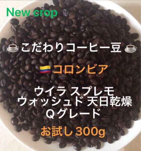 こだわりコーヒー豆 コロンビア ウイラスプレモ Qグレード お試し300g 中深煎り 自家焙煎珈琲 ウォッシュド ニュークロップ