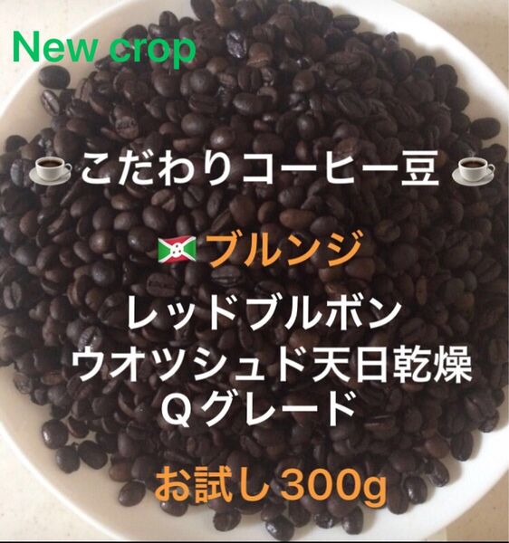 こだわりコーヒー豆 ブルンジ レッドブルボン お試し300g 中深煎り 自家焙煎珈琲 Qグレード