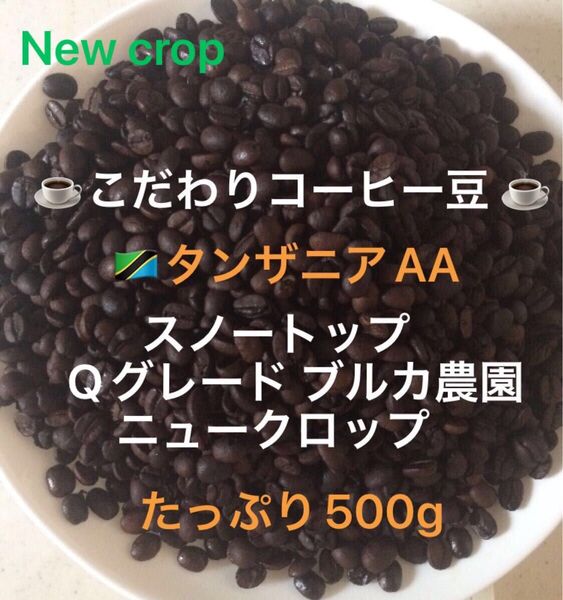 こだわりコーヒー豆 タンザニアAA スノートップ たっぷり500g 中深煎り 自家焙煎珈琲 ブルカ農園 Qグレード ニュークロップ
