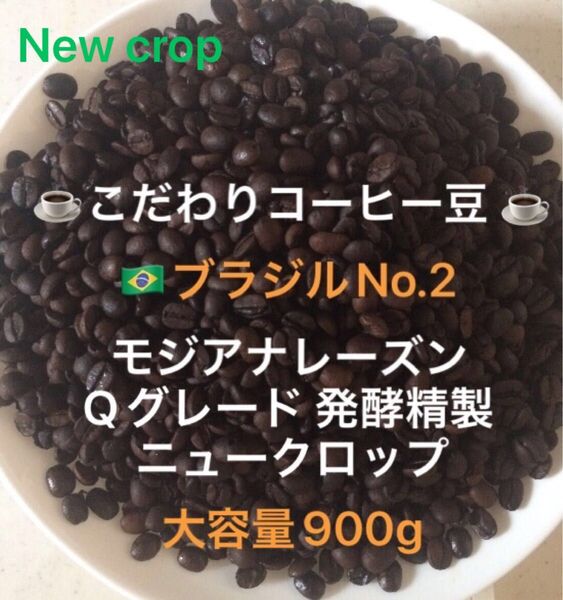 大容量900g こだわりコーヒー豆 ブラジルNo.2 モジアナレーズン 中深煎り 自家焙煎 Qグレード ナチュラル ニュークロップ
