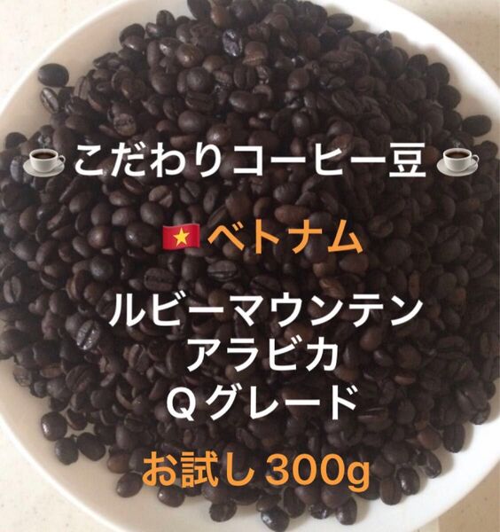 こだわりコーヒー豆 ベトナム ルビーマウンテン G-1 アラビカ お試し300g 中深煎り 自家焙煎珈琲 Qグレード