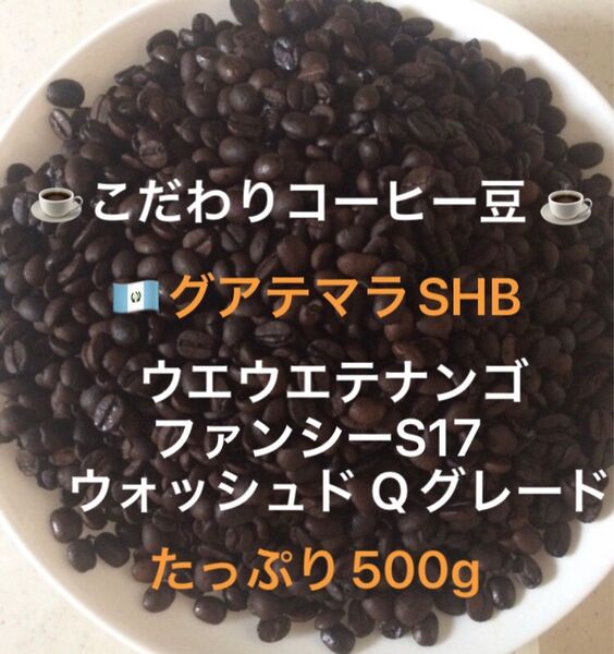こだわりコーヒー豆 グアテマラ ウエウエテナンゴSHB 500g ファンシーS17 中深煎り 自家焙煎 Qグレード ウォッシュド
