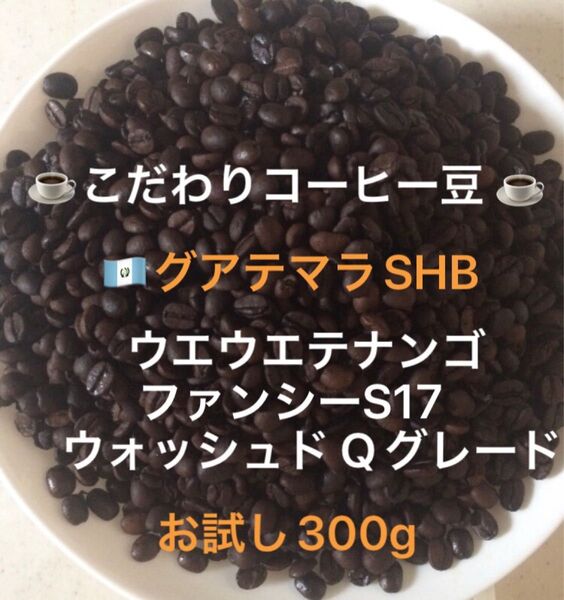 こだわりコーヒー豆 グアテマラ ウエウエテナンゴSHB 300g ファンシーS17 中深煎り 自家焙煎 Qグレード ウォッシュド