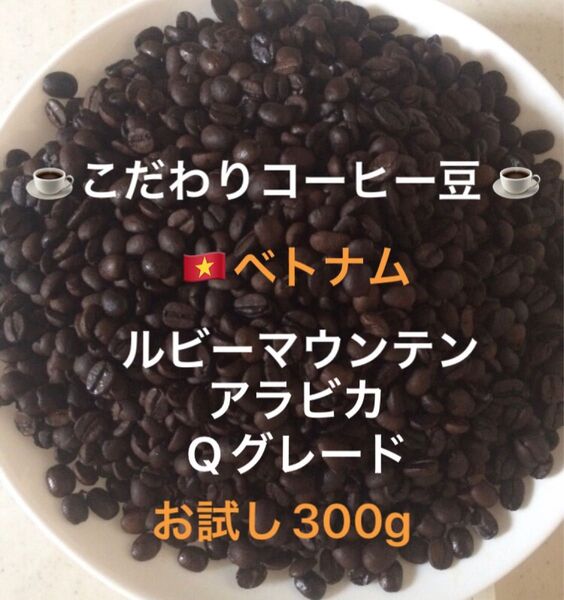 こだわりコーヒー豆 ベトナム ルビーマウンテン G-1 アラビカ お試し300g 中深煎り 自家焙煎珈琲 Qグレード