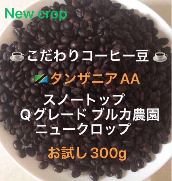こだわりコーヒー豆 タンザニアAA スノートップ お試し300g 中深煎り 自家焙煎珈琲 ブルカ農園 Qグレード ニュークロップ