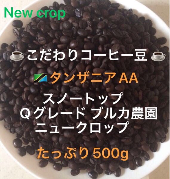 こだわりコーヒー豆 タンザニアAA スノートップ たっぷり500g 中深煎り 自家焙煎珈琲 ブルカ農園 Qグレード ニュークロップ