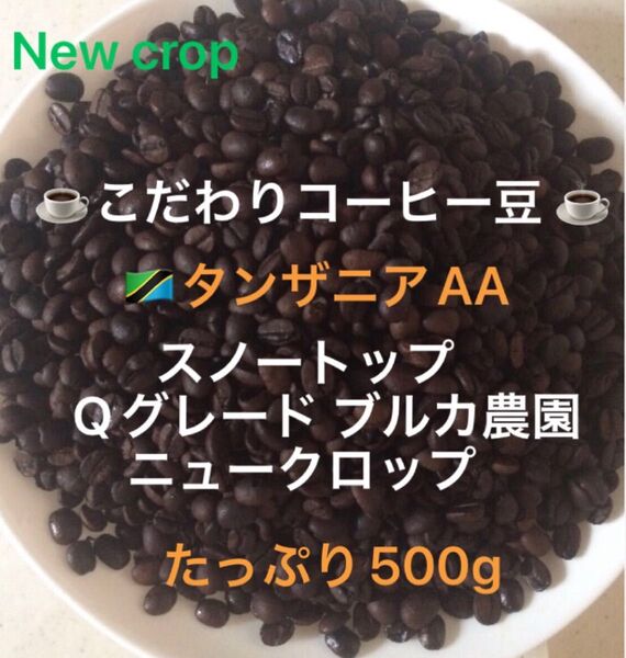 こだわりコーヒー豆 タンザニアAA スノートップ たっぷり500g 中深煎り 自家焙煎珈琲 ブルカ農園 Qグレード ニュークロップ
