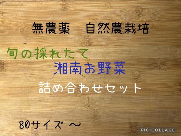 自然農栽培 湘南お野菜詰め合わせセット80サイズ5kgまで*価格相談ご遠慮下さい