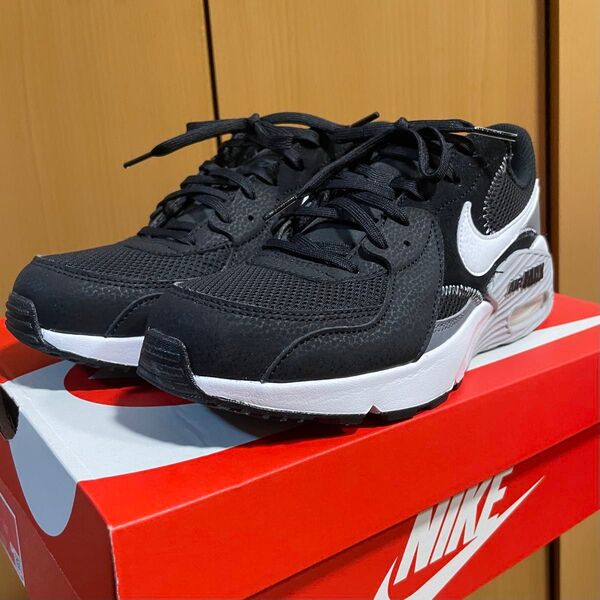 NIKE AIR MAX エクシー 25cm