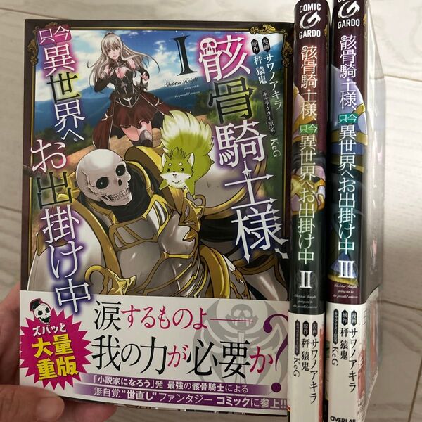 骸骨騎士様、只今異世界へお出掛け中1~3(ガルドコミックス) サワノアキラ/漫画 秤猿鬼/原作 KeG/キャラクター原案