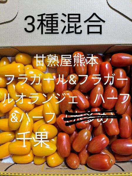 3種混合ミニトマトフラガールフラガールオランジェ千果1キロ