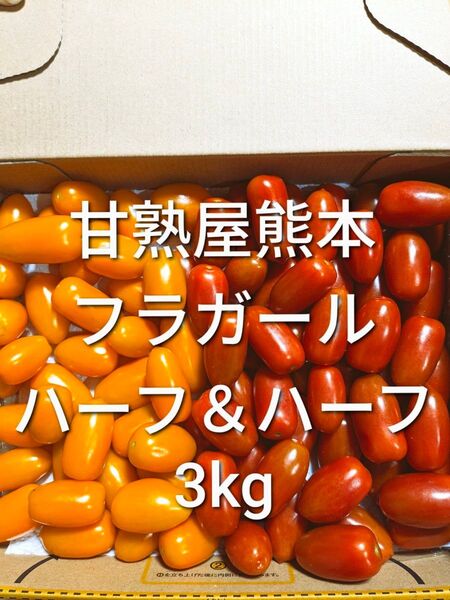 ミニトマト フラガールハーフ&ハーフ 3kg