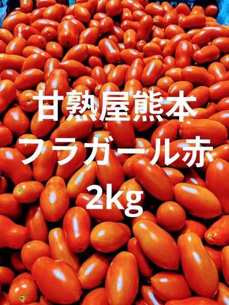 ミニトマト フラガール赤 2kg