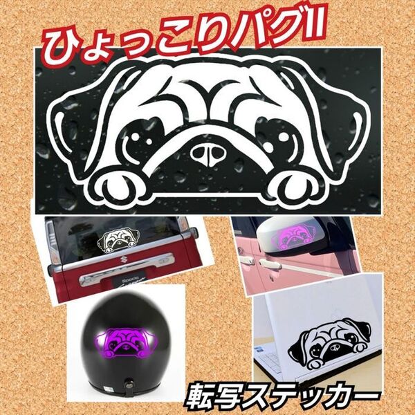 【Sサイズ:Aタイプ:白】ひょっこりパグ2 転写ステッカー