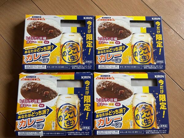 レストラン仕様カレー 中辛4点