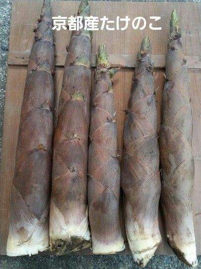 京都産 無農薬朝掘り採れたてたけのこ約2キロ
