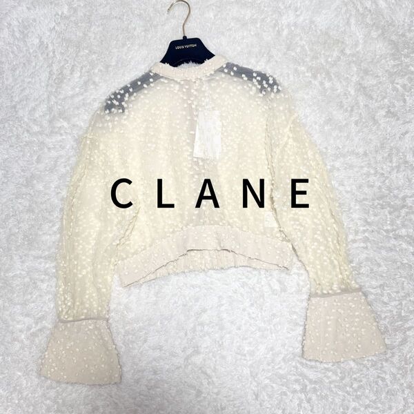 新品タグ付き CLANE クラネ SNOW DOT JACQUARD TOPS ブラウス シアー 定価3万 ホワイト