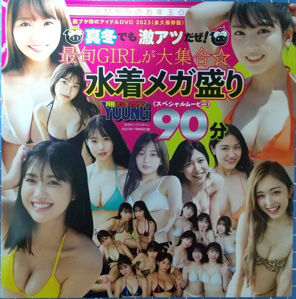 沢口愛華 和泉芳怜 本郷柚巴 ゆうちゃみ 福田ルミカ 長月翠 ロサリオ恵奈 染野有来 南みゆか 付録DVD(未開封90分)