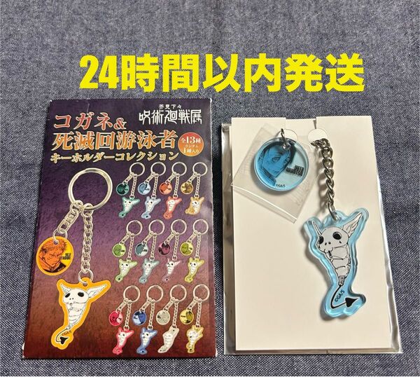 呪術廻戦 コガネ&死滅回游泳者 キーホルダーコレクション 乙骨 憂太 コガネ キーホルダー 呪術廻戦展