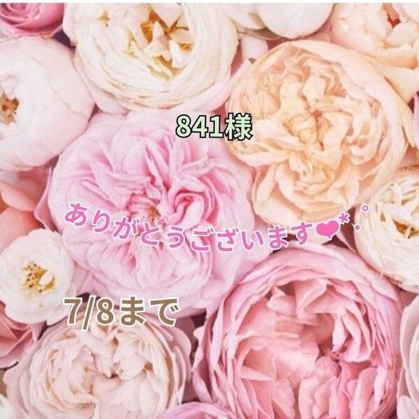 841様 おまとめパーツ(o^^o)