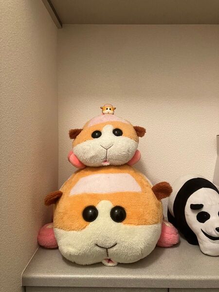 モルカーセット