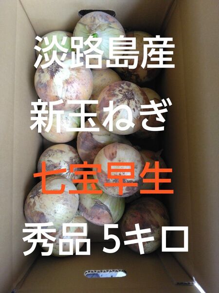 淡路島産 新玉ねぎ 産地直送 秀品 5キロ Lサイズ