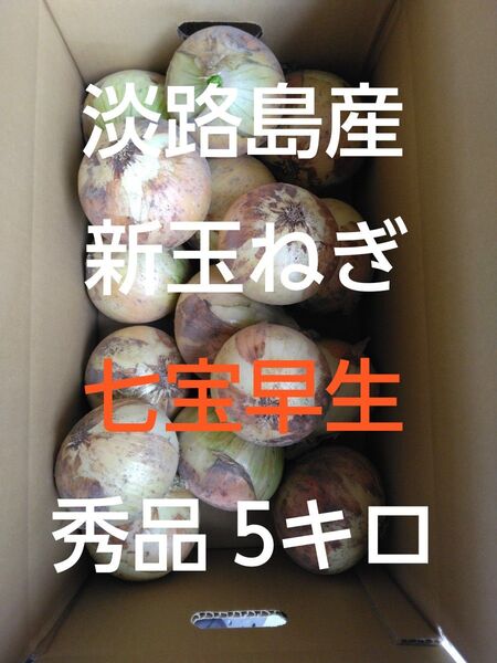 淡路島産 新玉ねぎ 産地直送 秀品 5キロ Lサイズ