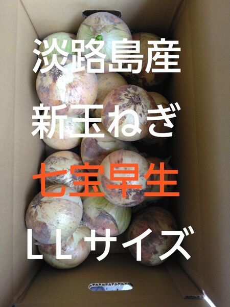 淡路島産 新玉ねぎ 産地直送 秀品 5キロ LLサイズ
