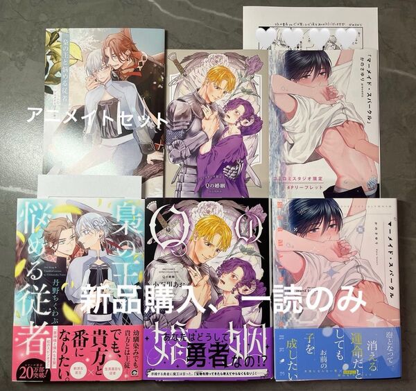 BL新刊 丹野ちくわぶ 梟の王と悩める従者 アニメイトセット Qの婚姻 マーメイド・スパークル コミコミ特典付き 美品