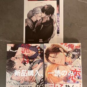 BL新刊 平飼やけい ARUKU 籠鳥 俺がお前に恋してやんよ コミコミ特典リーフレット付き 美品