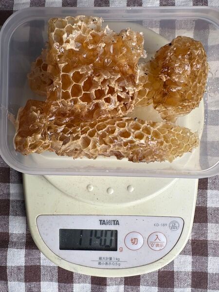 あかしあ 巣蜜114g 巣みつ ハチミツ 西洋ミツバチ コムハニー 蜂蜜 はちみつ