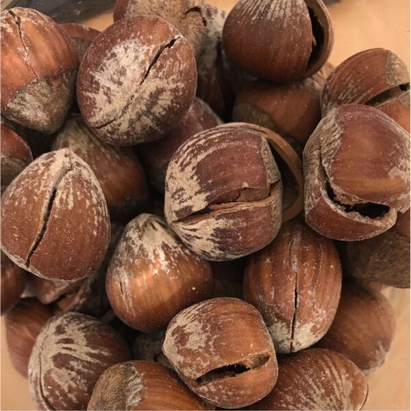 殻付きヘーゼルナッツ 300g