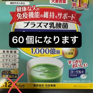 日本薬健 金の青汁 プラズマ乳酸菌 免疫ケア 60個
