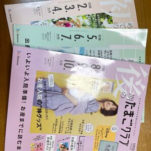 たまごクラブ 3冊セット 2024年夏号、2024年冬号