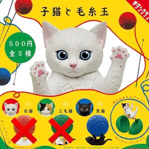1種 子猫と毛糸玉 フィギュア ガチャ 黒猫 クロネコ 猫 ネコ ねこ 毛糸