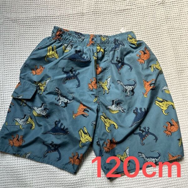 120cm 水着 恐竜