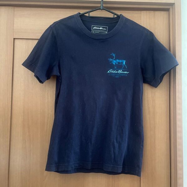 Eddie Bauer Tシャツ ネイビー XS 2枚セット