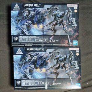 30mm アーマードコアⅥ スティールヘイズ 2体セット