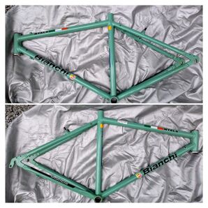 Bianchi NYALA フレーム