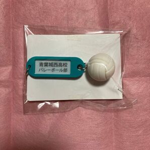 ハイキュー!! トレーディング 高校名付き 鍵チャームキーホルダー 青葉城西高校