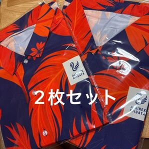【新品未開封】アルビレックス新潟 横浜F・マリノス戦「サマーシャツ」