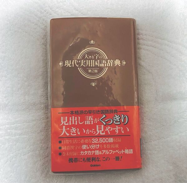大きな字の 現代実用国語辞典 コンパクトサイズ10×17.5 よく使う漢字 なんだっけ?のお助け