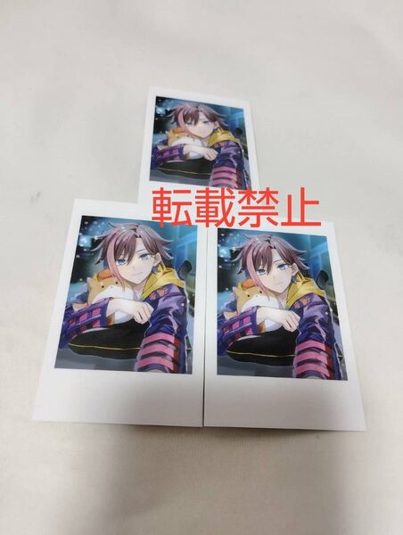 セルフィーカード CrazyRaccoon CRストア 3枚セット きなこ