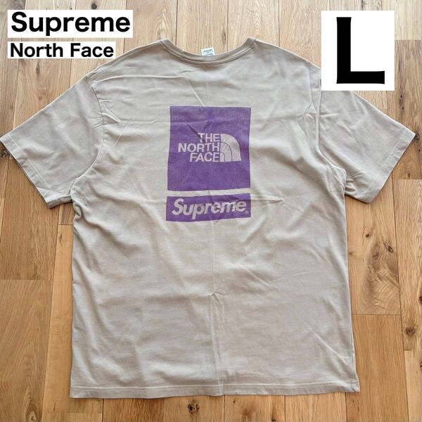 【希少色】Supreme The North Face S/S Top Khaki L シュプリーム ノースフェイス tシャツ