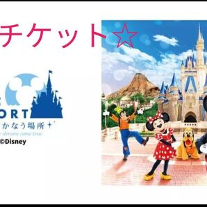 【東京ディズニーリゾート】ペアチケット期限2025/6/30&2026/1/31