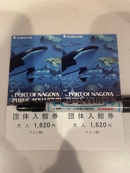 名古屋水族館 大人 チケット 2枚