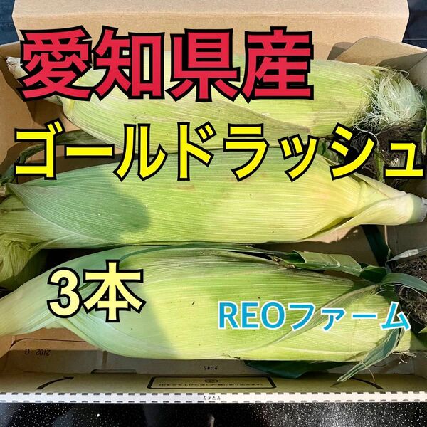 とうもろこし ゴールドラッシュ 3本 セット 即購入可能 愛知県産 甘い 美味い