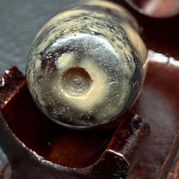 チベット 四線虎牙天珠 欠片 ancient dgi 老礦 マニア向き 研究者向き