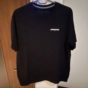 パタゴニア Tシャツ M