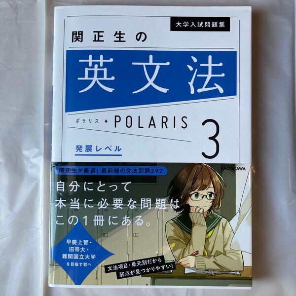 大学入試問題集 関正生の英文法ポラリス3 発展レベル (大学入試問題集) 関正生/著